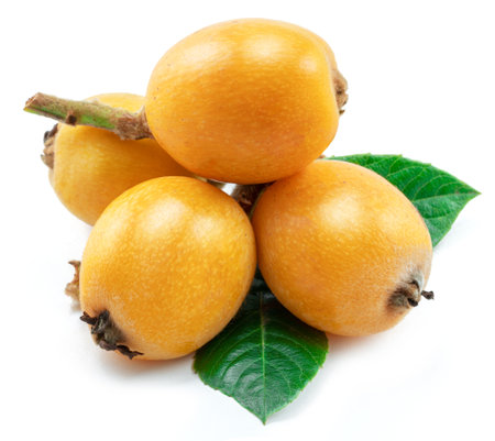 Loquats fruits with green leaves isolated on white background.の写真素材