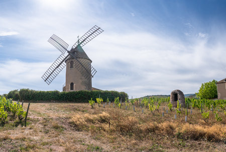 The eponymous windmill of famous French red wine located near RomanÃ¨che-Thorins.の写真素材