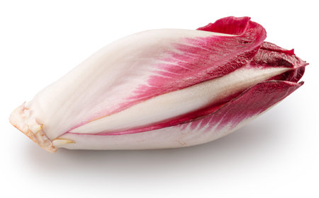 Red endive on white background.