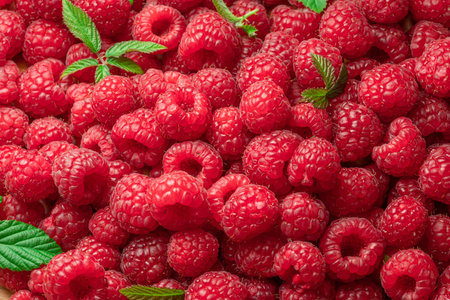 Fresh red ripe raspberries. Raspberries background.