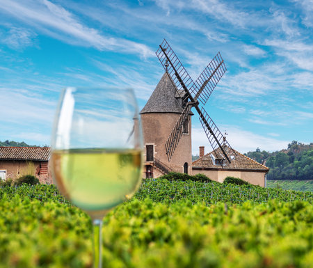 Blurred glass of white wine on foreground and the eponymous windmill of famous French red wine at the background. RomanÃ¨che-Thorins.の写真素材