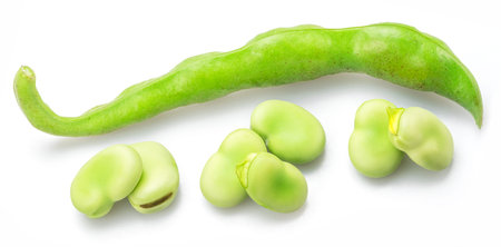 Green young broad bean pod and several broad beans near it isolated on white background.