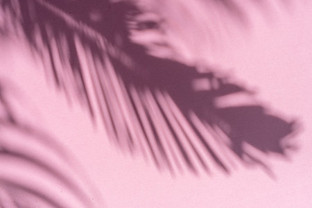 Blurred shadow of tropical palm leaves on pink wall background. Summer concept.の写真素材
