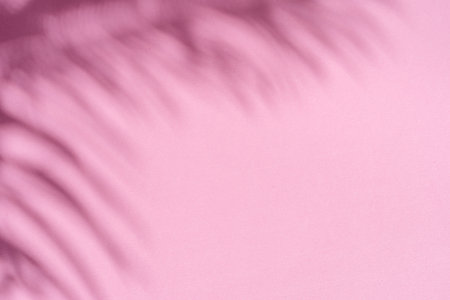 Blurred shadow of tropical palm leaves on pink wall background. Summer concept.の写真素材