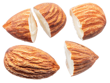 Set of almond nuts and pieces of almond nuts isolated on white background.の写真素材