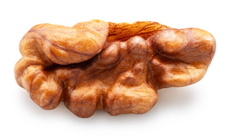 Piece of walnut i kernel isolated on white background.