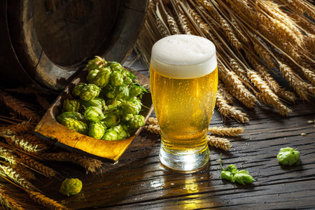 Fresh green hops flowers, ripe golden wheat ears and glass of beer with white beer foam on wooden table.の写真素材