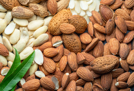 Large group of different almond nuts and almond leaves close-up. Food background.の写真素材