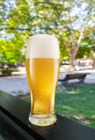 Glass of chilled beer on table and blurred green park at the background.の写真素材