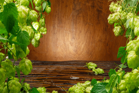 Fresh green hop flowers and lush leaves of hop vine are arranged as a frame and wooden wall and table in the background. A key component of the aroma and taste of beer production.の写真素材