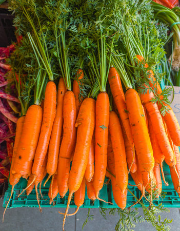 Fresh organic carrots with greens on farmers market counter close up.