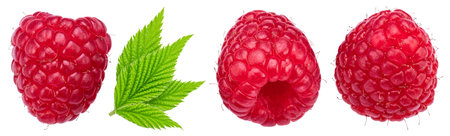 Three raspberries with raspberry leaves isolated on a white background. Maximum detail and sharpness...