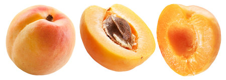 Ripe apricot and apricot slices isolated on white background. Clipping paths.の写真素材