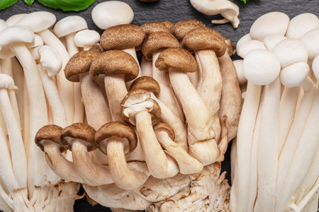Cluster of shimeji edible Japanese mushrooms with green herbs on black background. Close-up.