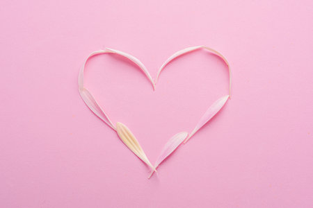 Delicate pink gerbera flower petals are arranged in a heart shape on a pink background.の写真素材