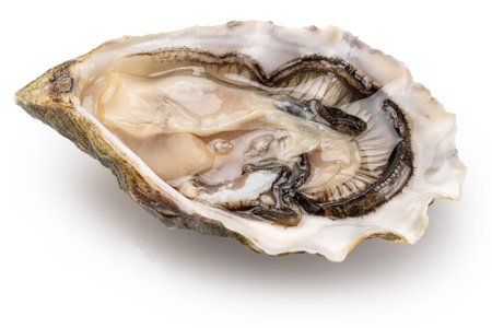Opened raw oyster isolated on white background, clipping path. Delicacy food.