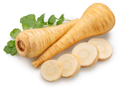 Parsnip roots and parsnip slices isolated on white background. File contains clipping paths.の写真素材