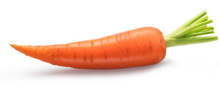One fresh ripe carrot isolated on white background. File contains clipping path.の写真素材