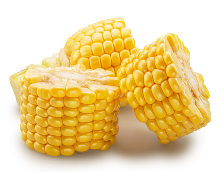Pieces of maize cob or corn cob isolated on white background. File contains clipping path.の写真素材
