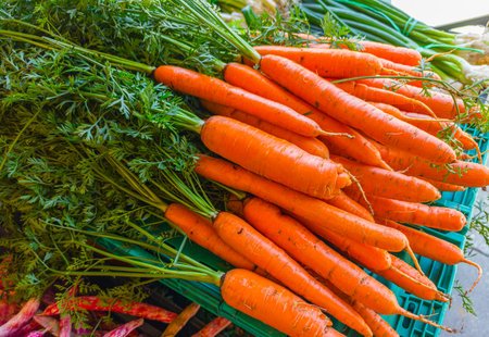 Fresh organic carrots with greens on farmers market counter close up.の写真素材