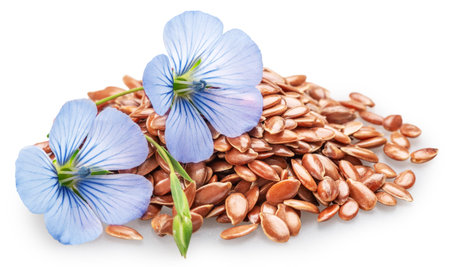 Blue delicate flax flower lays on heap of linseeds isolated on white background. File contains clipping paths.の写真素材