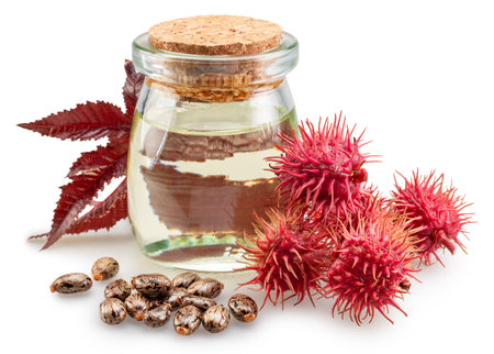 Castor oil and spiny capsules of Castor Oil plant on white background. File contains clipping paths.の写真素材