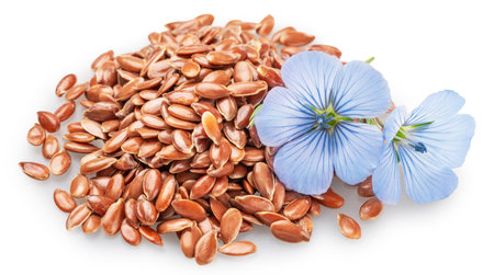 Blue delicate flax flower lays on heap of linseeds isolated on white background. File contains clipping paths.の写真素材
