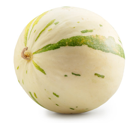 Melon isolated on white background. File contains clipping path.の写真素材