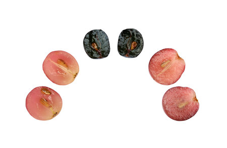 Grapes halves on a white background