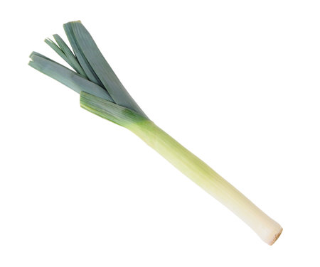 Leek isolated on a white background