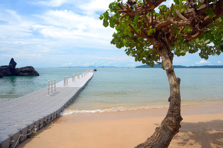 View of the sea, tree, pontoon mooring and boatの写真素材
