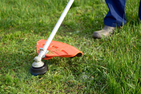 Mowing the grass on the lawn closeup