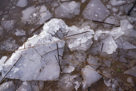 Texture background of pieces of melting river ice, top view