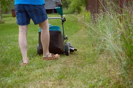 The man mows a lawn with the petrol lawn-mower in the warm summerの写真素材
