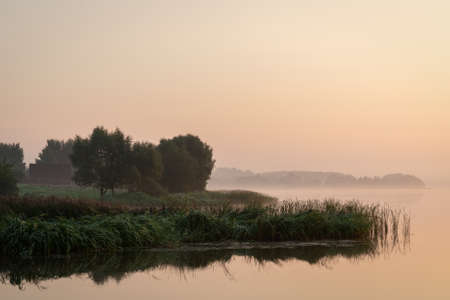 Summer foggy morning on the shore of the lake with grass.の写真素材