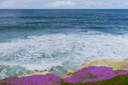 View of  the Pacific Ocean from La Jolla, California coast.