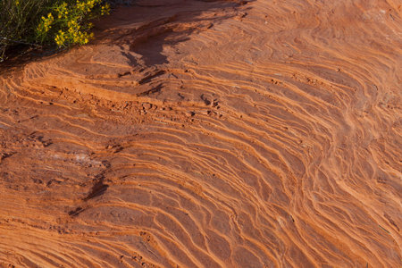 Natural sandstone background in Valley of Fire, Nevada, USA