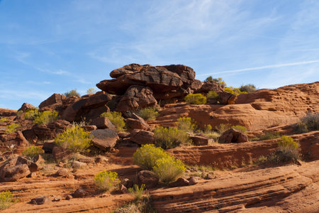 The unique red sandstone rock formations in Valley of Fire State park, Nevada, USAの写真素材