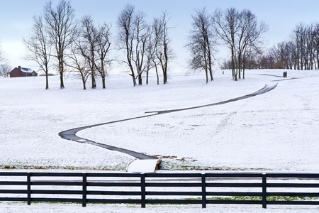 Winter country scene with trees and a path の写真素材
