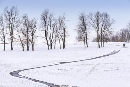 Winter country scene with trees and a path 