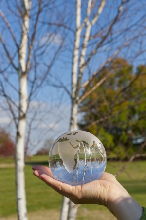 Reflection of a tree  and the sky in glass globeの写真素材