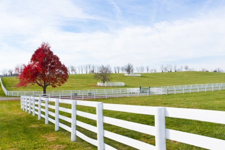 Country scenery on late autumn season の写真素材