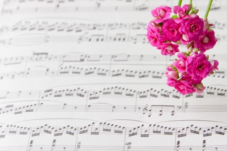 Flowers on music notes sheet, abstract art background   selective focusの写真素材