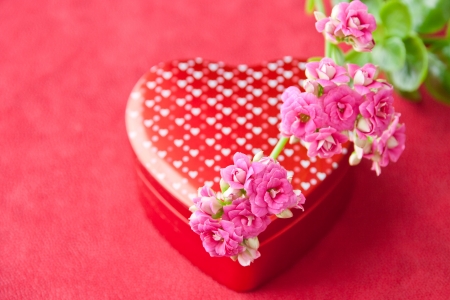 Box of chocolates and flowers for Valentines day on red background  selective focusの写真素材