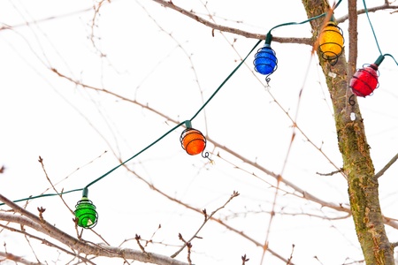 Light garland on bare  tree branches in winter  selective focusの写真素材