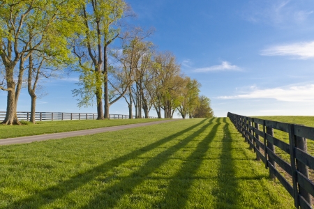Green pastures of  horse farms at springの写真素材