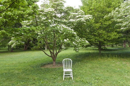 White chair in the park. Ready for photo shoot.の写真素材
