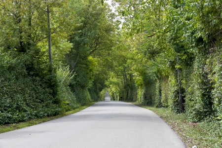 Country road with green fenceの写真素材