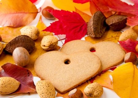 Two heart-shaped cookies between autumn leaves and nuts  selective focusの写真素材