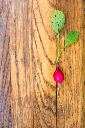Small garden radish on dark wooden board  selective focusの写真素材